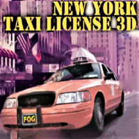 New York Taxi License 3d
