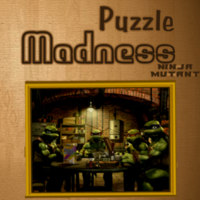 Puzzle Madness  Ninja Mutant