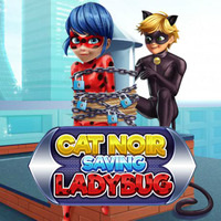 Cat Noir Saving Ladybug