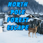 North Pole Forest Escape