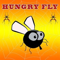 Hungry Fly